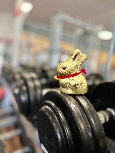 Osterhase im Fitnessstudio